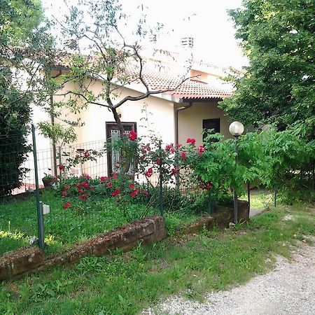 Agriturismo Norianino Montemerano Exteriér fotografie