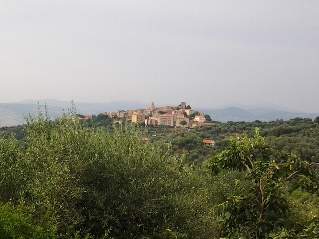 Agriturismo Norianino Montemerano Exteriér fotografie