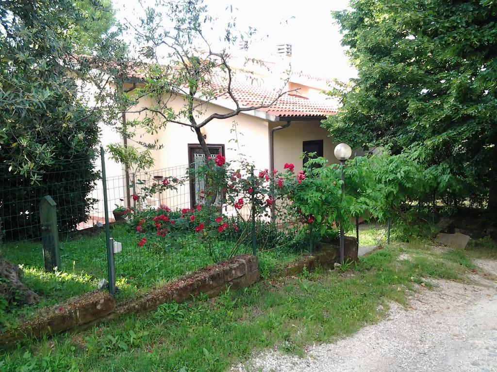 Agriturismo Norianino Montemerano Exteriér fotografie
